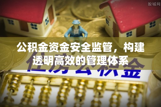 达州公积金资金安全监管，构建透明高效的管理体系